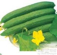 夏季吃四瓜,夏日消暑四瓜养生攻略