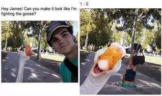 带你吃瓜ps大神,带你领略PS大神带你吃瓜的视觉盛宴