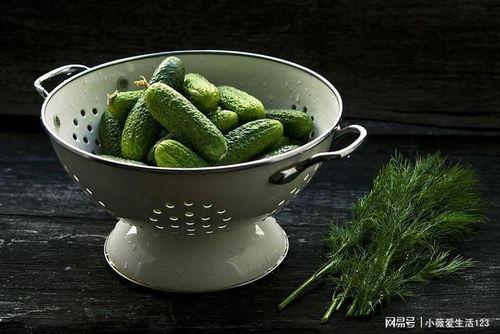 蒲瓜跟毛瓜可以一起吃,营养双倍的美食之旅