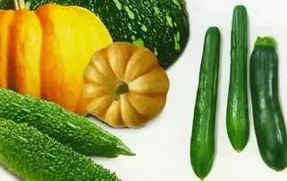 夏吃瓜指的是哪些瓜,夏吃瓜，盘点那些清凉解暑的瓜类美食