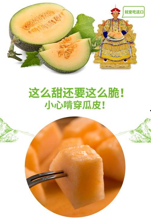 麻雀吃蜜瓜,自然界的智慧瞬间