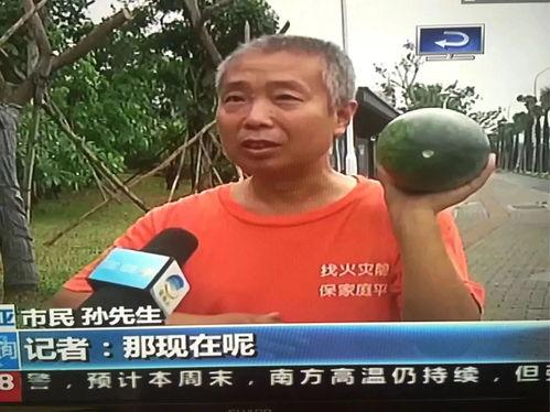 蒙阴吃瓜群众事件,一场网络舆论的风暴与反思