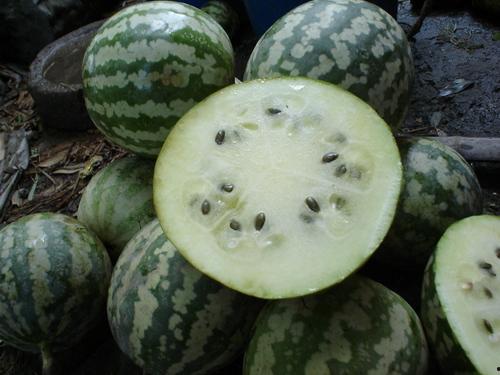 绿宝瓜不熟怎么吃,解锁美味新境界