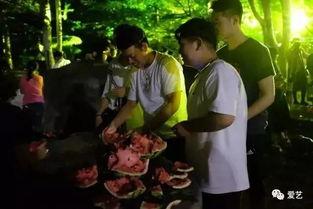 吃瓜网什么鬼,网络热词背后的故事与影响