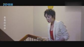 吃瓜视频小狐狸,趣味横生的动物日常