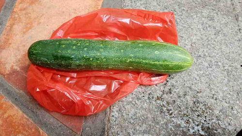 那些瓜可以吃,盘点那些可口的食用瓜类