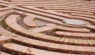 阿姆斯特丹 吃瓜,瓜界风云录