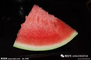 吃太和的瓜,品味田园生活之美