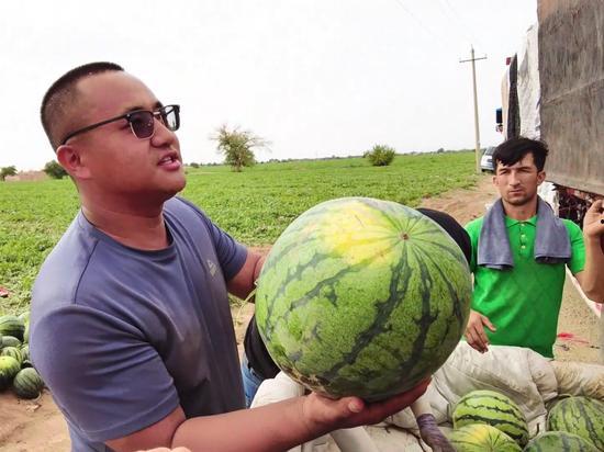 北方汇每日吃瓜,北方汇里的新鲜趣事大盘点