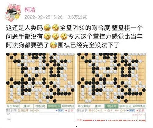 申真谞吃瓜,揭秘围棋界的热议焦点
