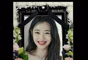 雪莉玫吃瓜,揭秘娱乐圈背后的秘密与真相