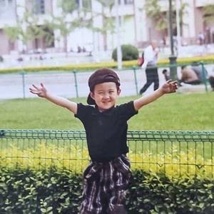 吃瓜剧情怎么没有,一场娱乐盛宴的幕后故事