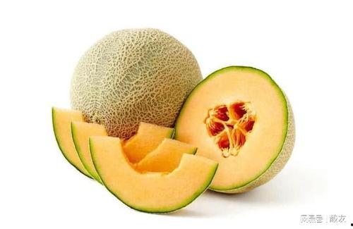 带你吃巧瓜,带你领略各地特色瓜果佳肴