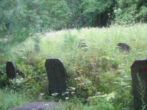 坟地吃瓜小说,吃瓜群众的神秘探险之旅