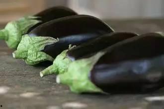 吃瓜不吐皮吃,品味生活百态