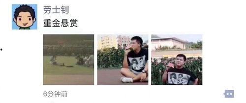吃瓜感人片段素材,揭秘吃瓜群众的感人瞬间