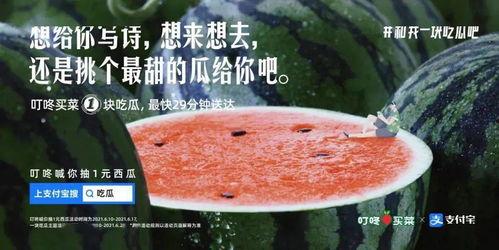 天天吃瓜文案,揭秘天天吃瓜背后的故事