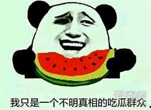 怎么神回复吃瓜群众