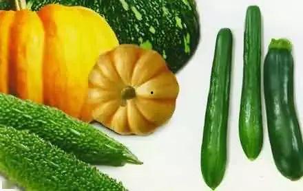 航运吃瓜,揭秘航运吃瓜背后的故事与真相