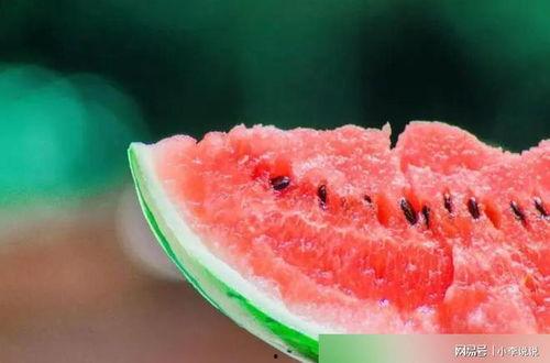 吃瓜的龙图,揭秘网络热图的背后故事